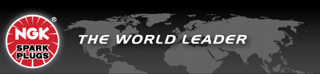 NGK Spark Plugs